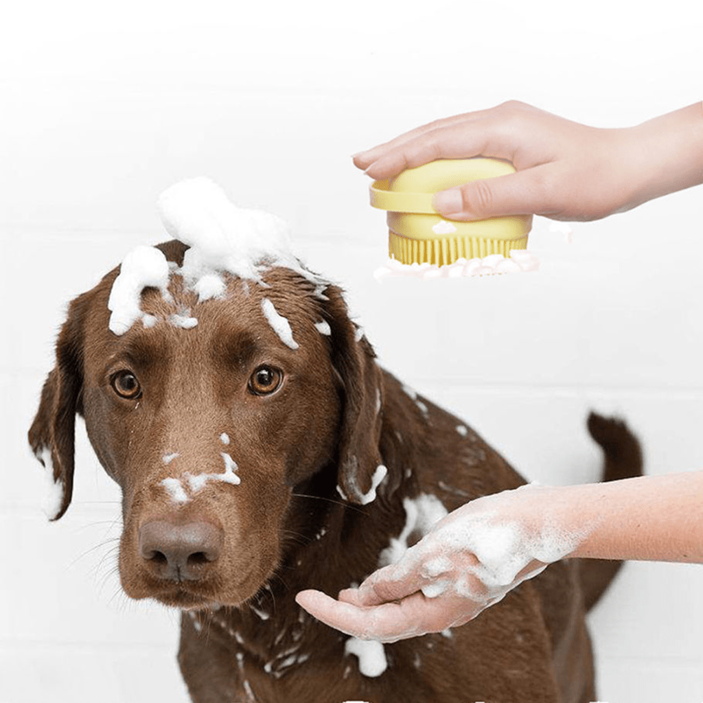 Bubbly Pup Scrub: Make Bath Time Bubblicious