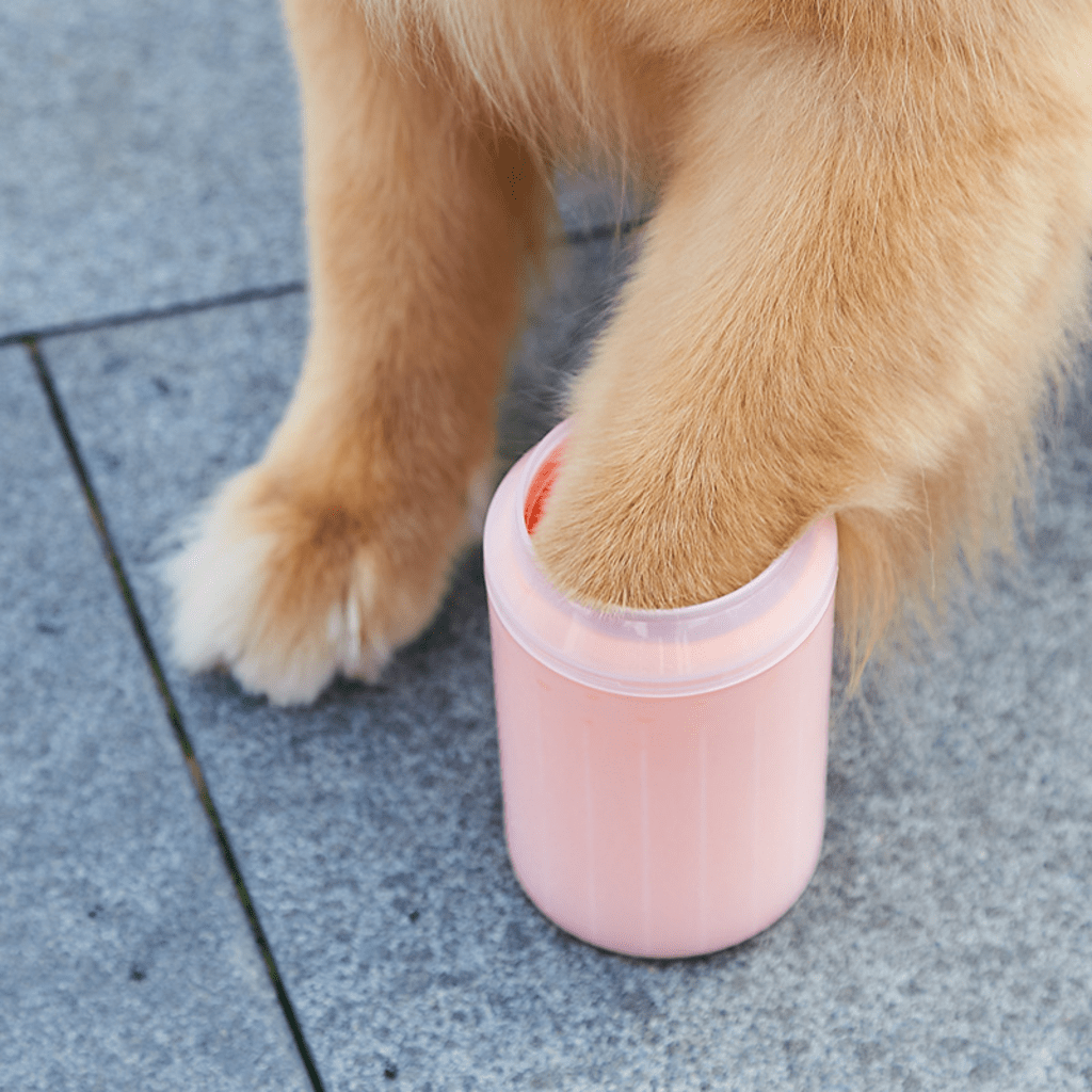 PediPaw Pro: Reveal the Shine in Your Dog's Paws